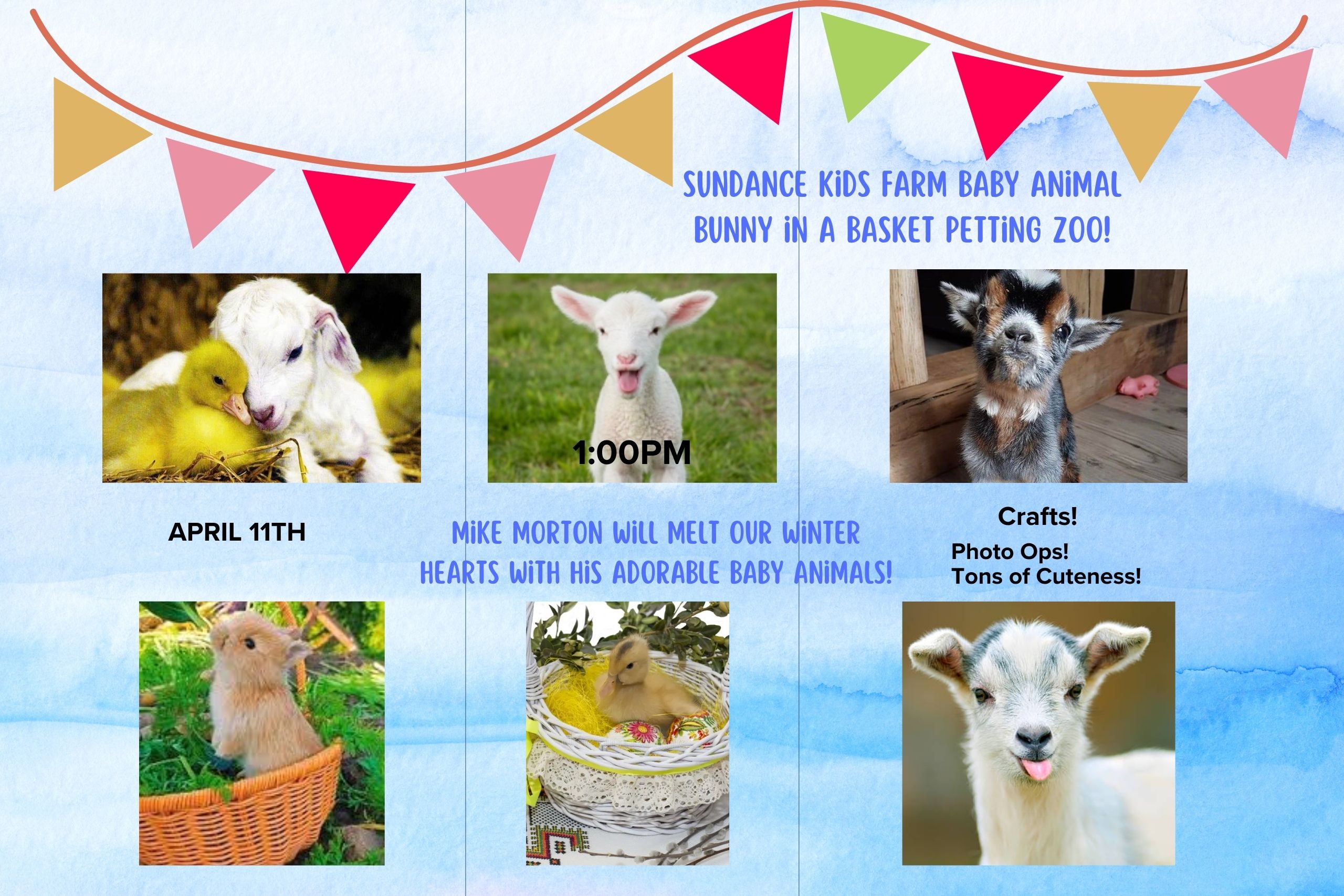 BUNNY IN A BASKET PETTING ZOO!!